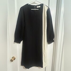 Elegant Black and White Women's Dress